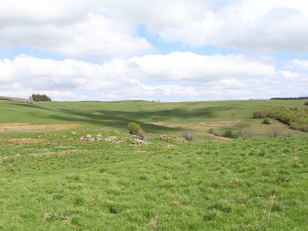 Photo du bien Terrain