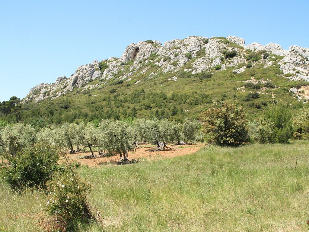 Photo du bien Terrain